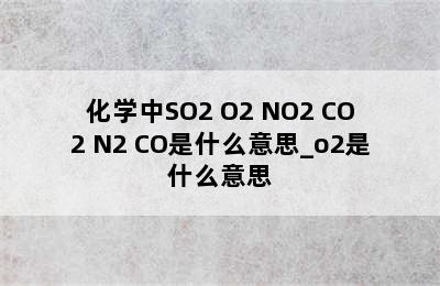 化学中SO2 O2 NO2 CO2 N2 CO是什么意思_o2是什么意思